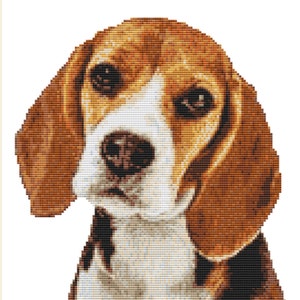 Può includere: Ritratto a punto croce di un cane Beagle, con pelo marrone, bianco e nero. Il muso del cane è centrato, con cuciture dettagliate che catturano i suoi occhi espressivi e le orecchie flosce. Lo sfondo è bianco.