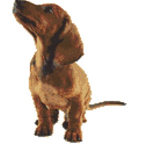 PUNTO DE CRUZ PDF - Perro salchicha tamaño terminado 17 cm x 22 cm