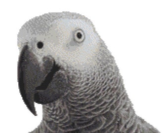 Cross stitch kit - grey parrot 22 cm x 19 cm