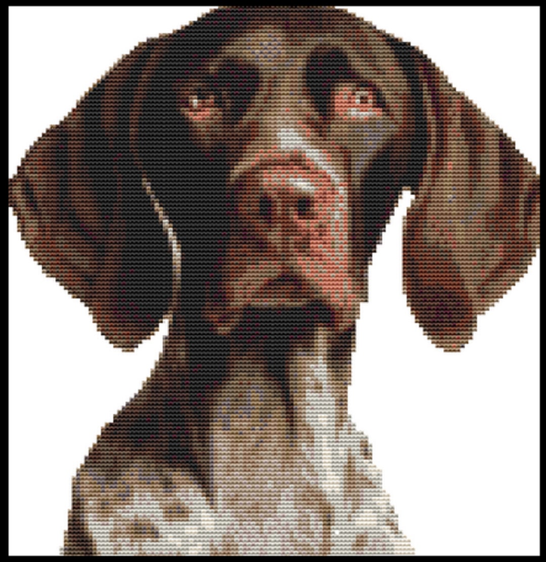 CROSS STITCH KIT - Short Haired Pointer 23cm X 24cm 14 Count Full Kit ...