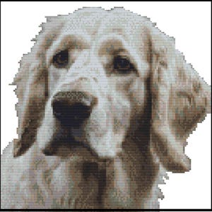 CROSS STITCH KIT - English Setter 25cm x 23cm 14 Count Full Kit