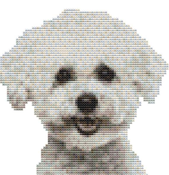 CROSS STITCH KIT Bichon Frise 13CM X 13CM Full Kit or Chart only