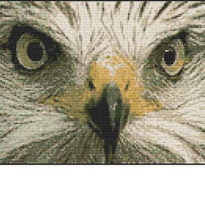 CROSS STITCH KIT - Red Kite  25cm x 19 cm 14 count Full Kit