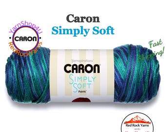 OCEANA - Caron Simply Soft Paints. 5oz / 235yds (141g / 215m) 100% Acrylic yarn. Color #22004