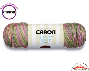 ROSE GARDEN - Caron Simply Soft Paints. 5oz / 235yds (141g / 215m) 100% Acrylic yarn. Color #21002