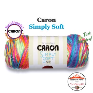 RAINBOW BRIGHT - Caron Simply Soft Paints. 5oz / 235yds (141g / 215m) 100% Acrylic yarn. Color #22009