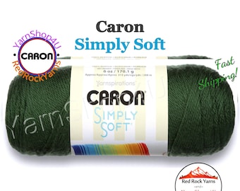 DARK SAGE - Caron Simply Soft 6oz / 315yds (170g / 288m) No Dye Lot. Acrylic yarn. Color #9707 (10% back)