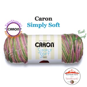 ROSE GARDEN - Caron Simply Soft Paints. 5oz / 235yds (141g / 215m) 100% Acrylic yarn. Color #21002