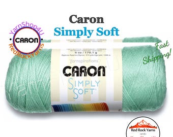 ROBINS EGG - Caron Simply Soft 6oz / 315yds (170g / 288m) 100% Acrylic yarn. Item H970039780