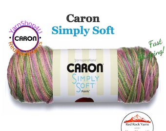 ROSE GARDEN - Caron Simply Soft Paints. 5oz / 235yds (141g / 215m) 100% Acrylic yarn. Color #21002