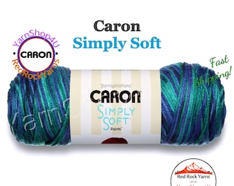 OCEANA - Caron Simply Soft Paints. 5oz / 235yds (141g / 215m) 100% Acrylic yarn. Color #22004