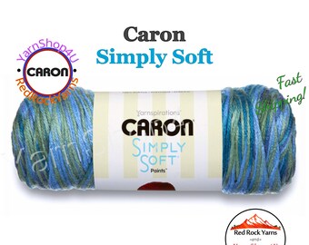 SPRING BROOK - Caron Simply Soft Paints. 5oz / 235yds (141g / 215m) 100% Acrylic yarn. Color #21003