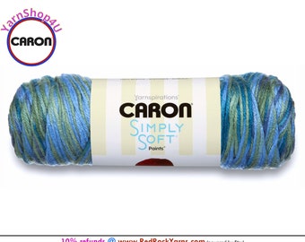 SPRING BROOK - Caron Simply Soft Paints. 5oz / 235yds (141g / 215m) 100% Acrylic yarn. Color #21003
