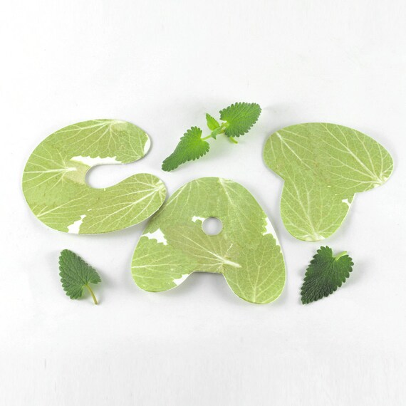 Catnip Paper Letter Cat Toy