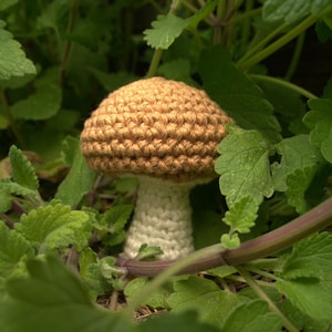 Magic Mushroom, Crochet Cat Toy with Catnip, Silvervine, Honeysuckle and Valerian