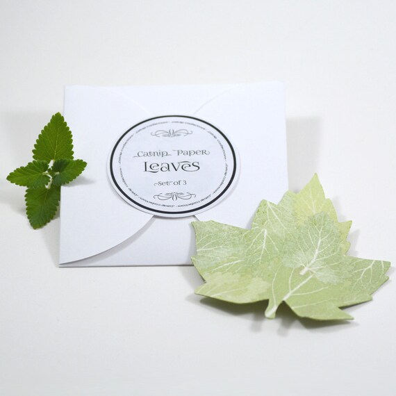 Catnip Paper Leaf Cat Toy