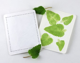 Catnip Card, Personalize for Gifts