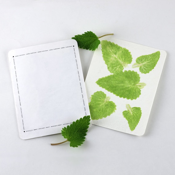 Catnip Card, Personalize for Gifts