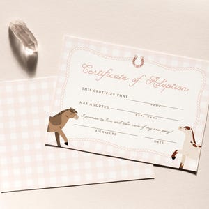 Pony Adoption Zertifikatsvorlage, bearbeitbares Pferd Gastgeschenk, Rodeo Geburtstag druckbare Farm Geburtstagsaktivität, sofortiger Download