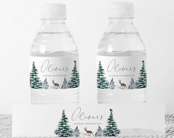 Winter Onederland Water Bottle Label, Winter Birthday, Christmas Party,  Editable Water Labels,  INSTANT DOWNLOAD