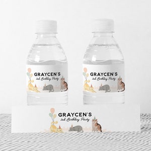 Editable Cat Water Label Label, Kitty Cat Birthday Water Bottle Label, Girl Cat Birthday Party Editable Corjl Template INSTANT DOWNLOAD