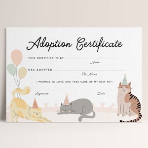 Kitty Cat Adoption Certificate Kitty Cat Party Girl Birthday Kitty Cat Party Editable Corjl Template, Instant Download