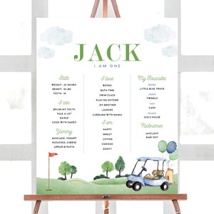 Golf Birthday Milestone Board, Hole in One Party, Golf Stat Board, EDITABLE Milestone Board, INSTANT DOWNLOAD