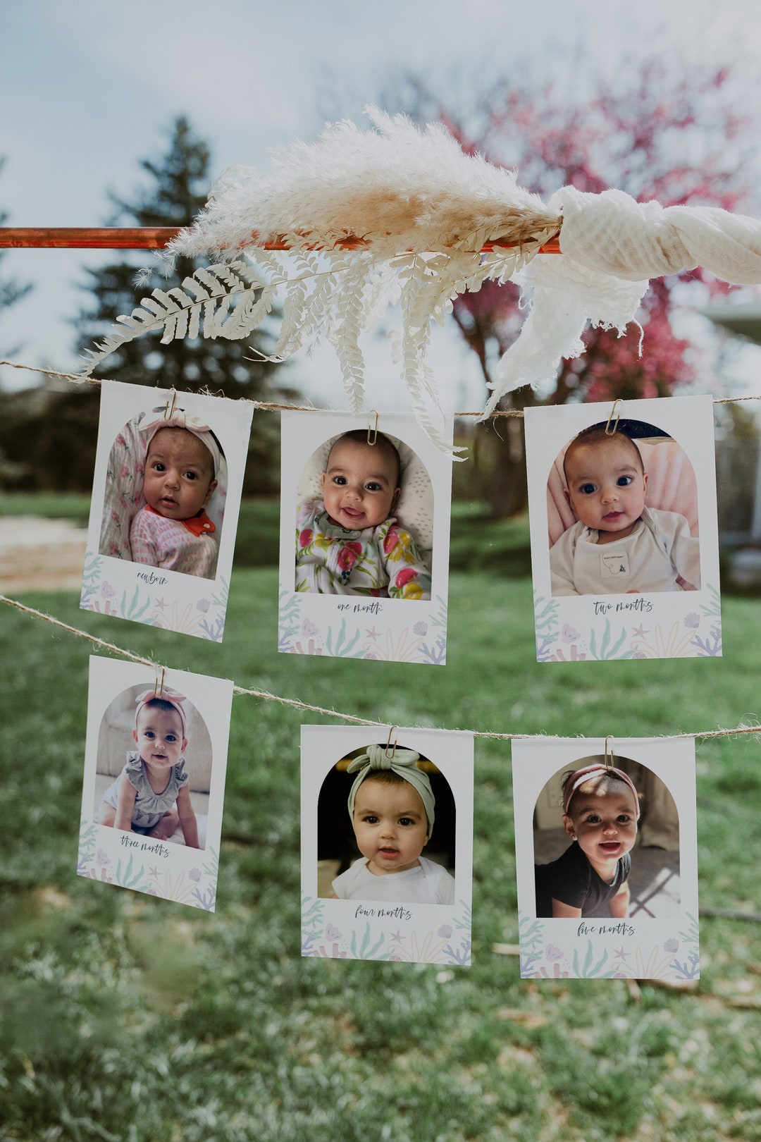 Sea Shell Photo Banner, Shell Milestone Banner, Shell Birthday Party ...