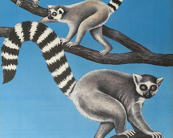 1986 Tierpark Berlin (Lemurs) - Original Vintage Poster