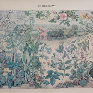 Cartel del jardín de setos de 1976 - Cartel vintage original