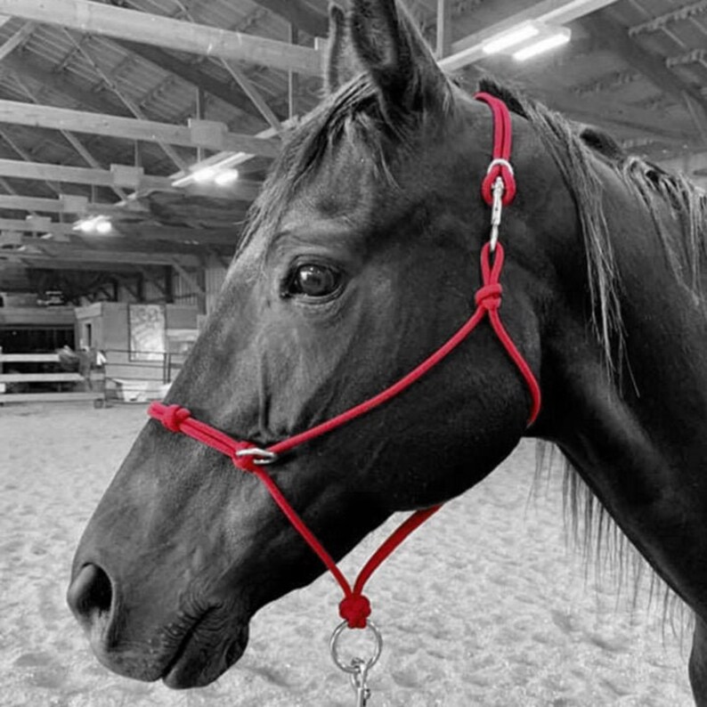 Custom Handmade Sidepull Rope Halter W/ Noseband Knots Etsy