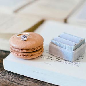 Gray Ring Box by The Family Joolz