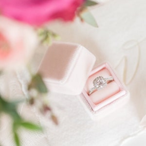 Blush Ring Box by The Family Joolz