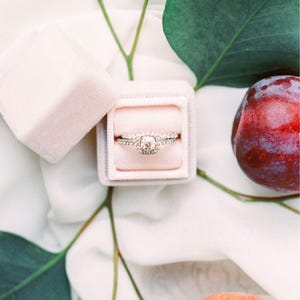 Pink Proposal Ring Box by The Family Joolz