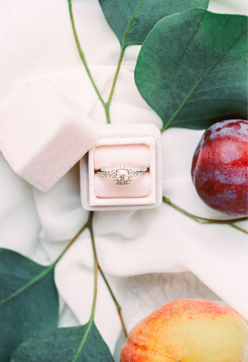 Pink Proposal Ring Box by The Family Joolz