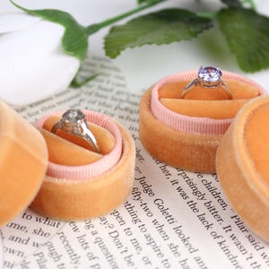 Mango Wedding Ring Boxes by The Family Joolz