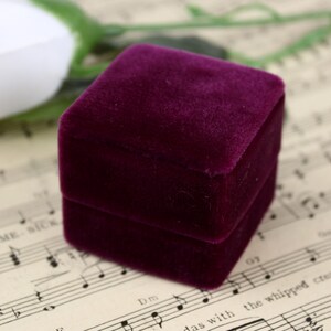 Velvet Jewelry Box by The Family Joolz
