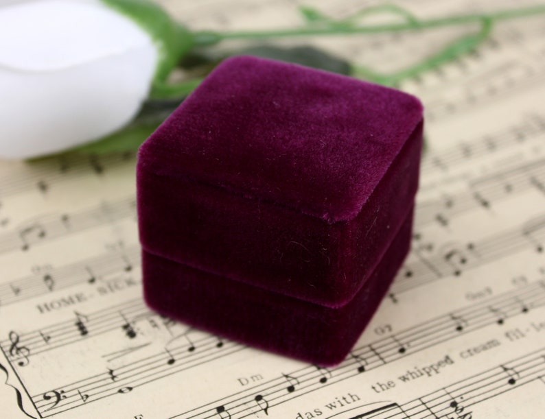 Velvet Jewelry Box by The Family Joolz