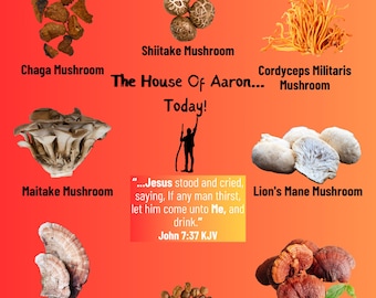 Vegan Mushroom coffee