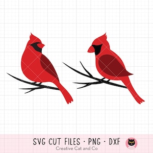 Roter Kardinal Vögel SVG Gedenkstätte Winter Weihnachten Rote Kardinäle auf Ästen Brennende geschnittene Dateien für Cricut PNG Clipart