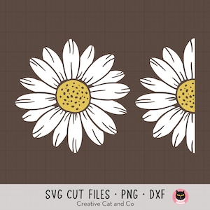 Daisy SVG intero e diviso a metà Daisy Flower Svg Dxf File di taglio per Cricut PNG Clipart Uso commerciale