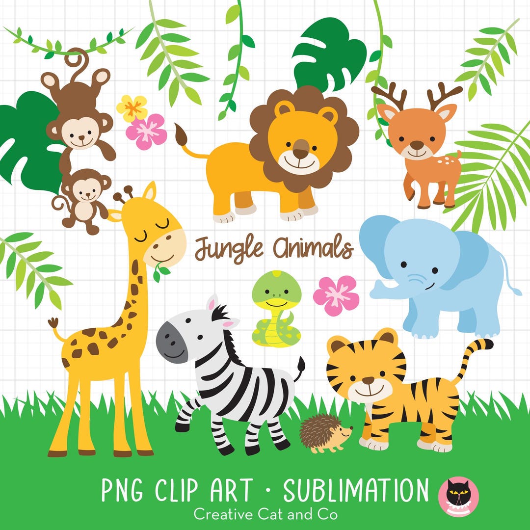 Jungle Safari Animals PNG Clipart Bundle | Cute Hand Drawn Lion, Tiger ...