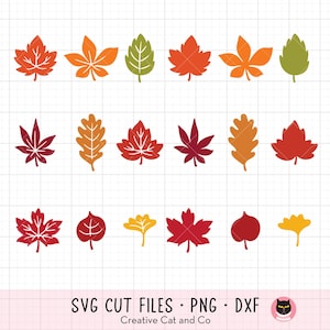 Fall Maple Leaves SVG PNG DXF Clip Art Bundle | 18 Single Leaves in Autumn Colors | Solid and Vein Designs for Thanksgiving | Fall Foliage