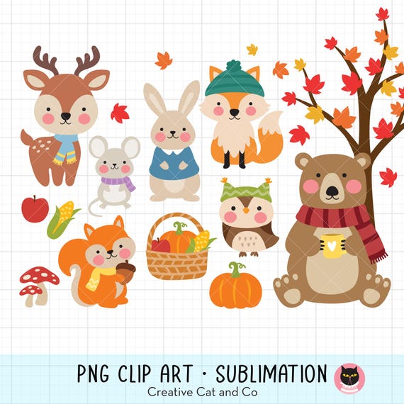 Chubby Fall Woodland Animals PNG Clipart | Cute Bear, Deer, Fox, Squirrel, Rabbit, Mouse and Owl with Pumpkins and Leaves | Autumn Crafts