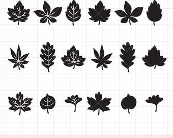Fall Leaves Silhouette SVG PNG DXF Clipart Bundle | Single Maple Leaf with Veins | Black Solid Leaf Shape | Cricut Cut File | Hand Drawn