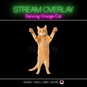 May include: A digital stream overlay featuring an orange tabby cat standing on its hind legs with front paws raised. The text reads STREAM OVERLAY, Dancing Orange Cat, and PREVIEW. The file specifications are listed as WEBM, 1920 x 1080, 30 FPS.