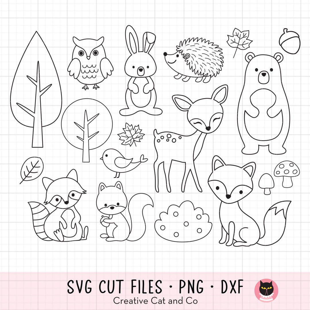 Animales del bosque para colorear SVG PNG Contorno de animal del bosque  Sello digital Clipart Fiesta de cumpleaños Favor Fiesta infantil Actividad  ..., image size:1080x1080