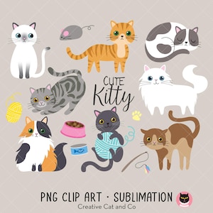 Cat PNG Clipart Bundle, Cute Orange, Calico, White Persian, Siamese, Tabby Kittens, Kitty Cat Breeds, Adoption, Cartoon Illustration