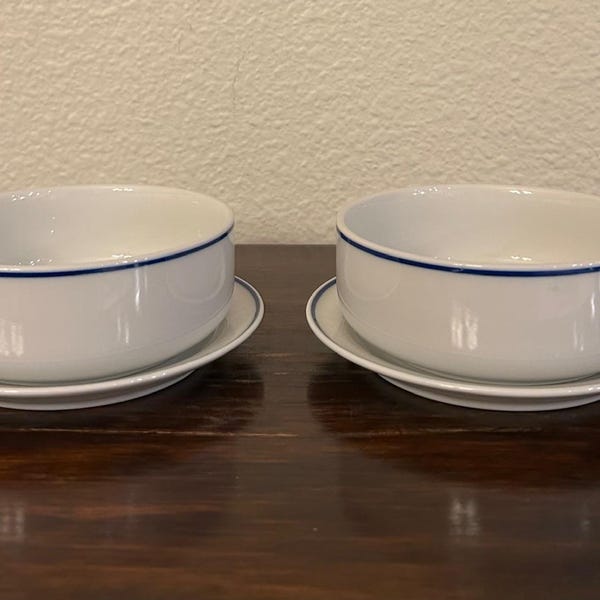 American Airlines Dinnerware - Set of 2 Bowls & Plates