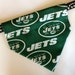 see more listings in the dog bandana - NFL section